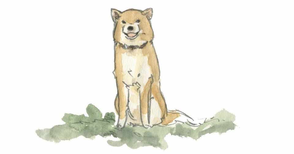 犬はなぜお尻を嗅ぐのか 後藤大 Note