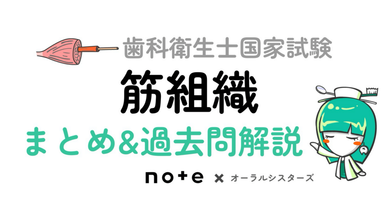 📎歯科衛生士国家試験対策まとめ【筋組織】PDF｜オーラル