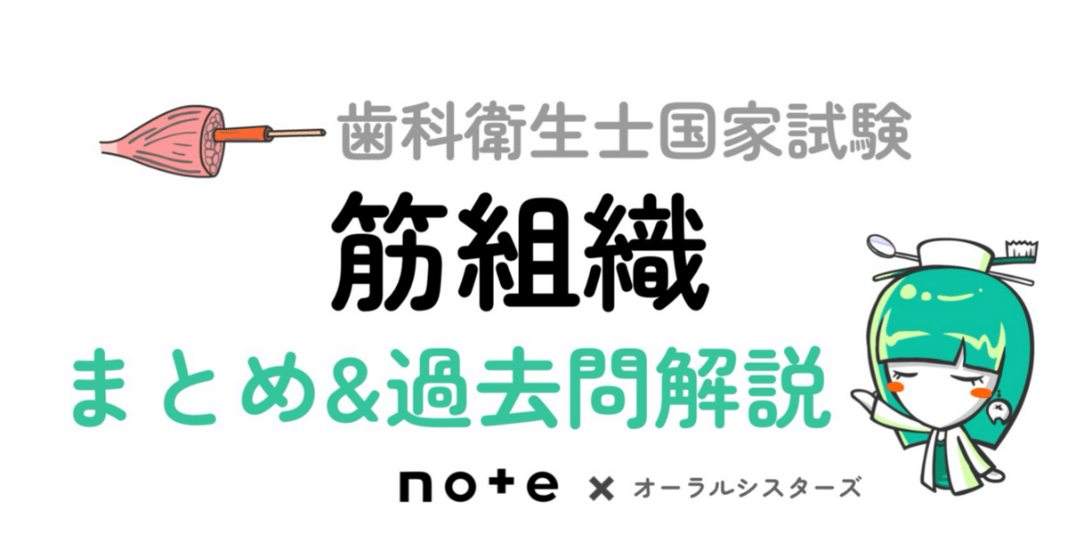 歯科衛生士 教科書 まとめ売り 国家試験対策 書き込みあり 歯科衛生士 国家試験対策ノート 4冊セットの通販 by saaa_'s