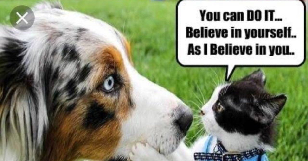 第2回 フランス人と日本人の違い編 たつきとブリコラージュ Note 第2回 フランス人と日本人の違い編 たつきとブリコラージュ Note