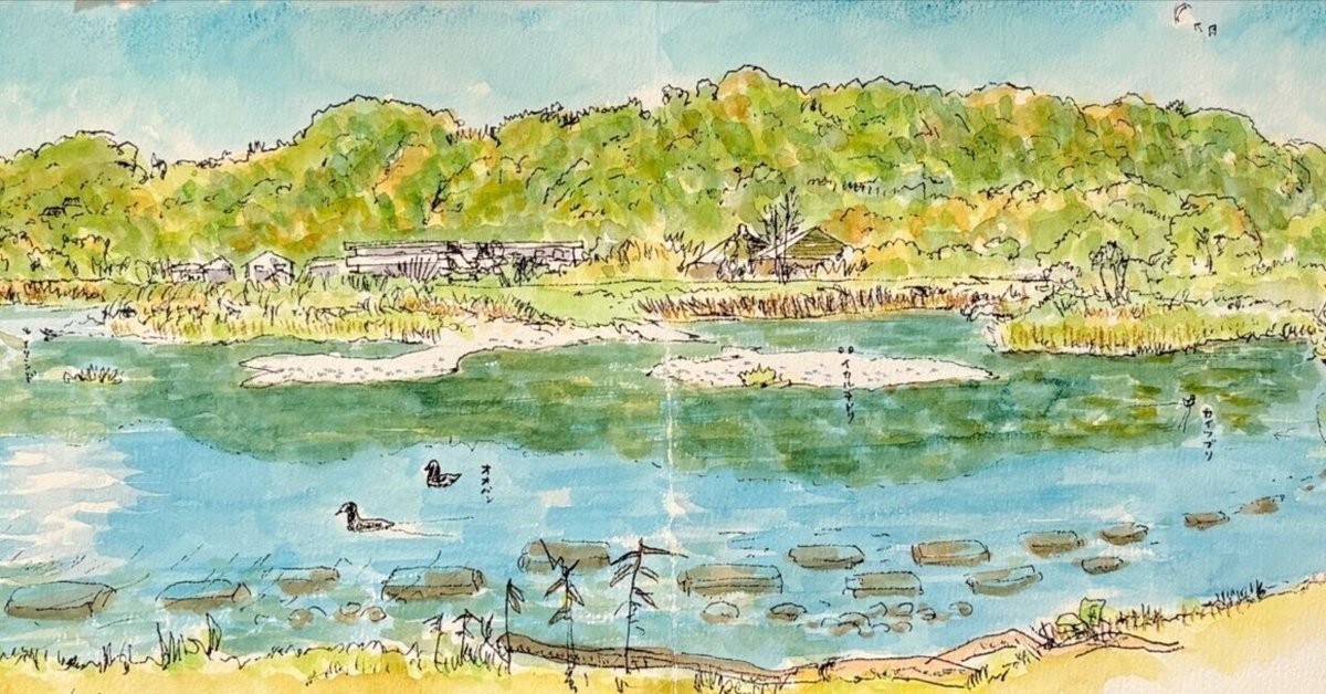 湧霧の村 261)《湧霧の村/Mistrise Village》[TDM] 土地R | 日本最大級