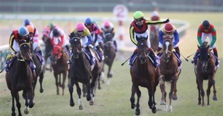 有馬記念の馬 GⅠ有馬記念｜タイツ・競馬ライター【無料予想と馬のお話】