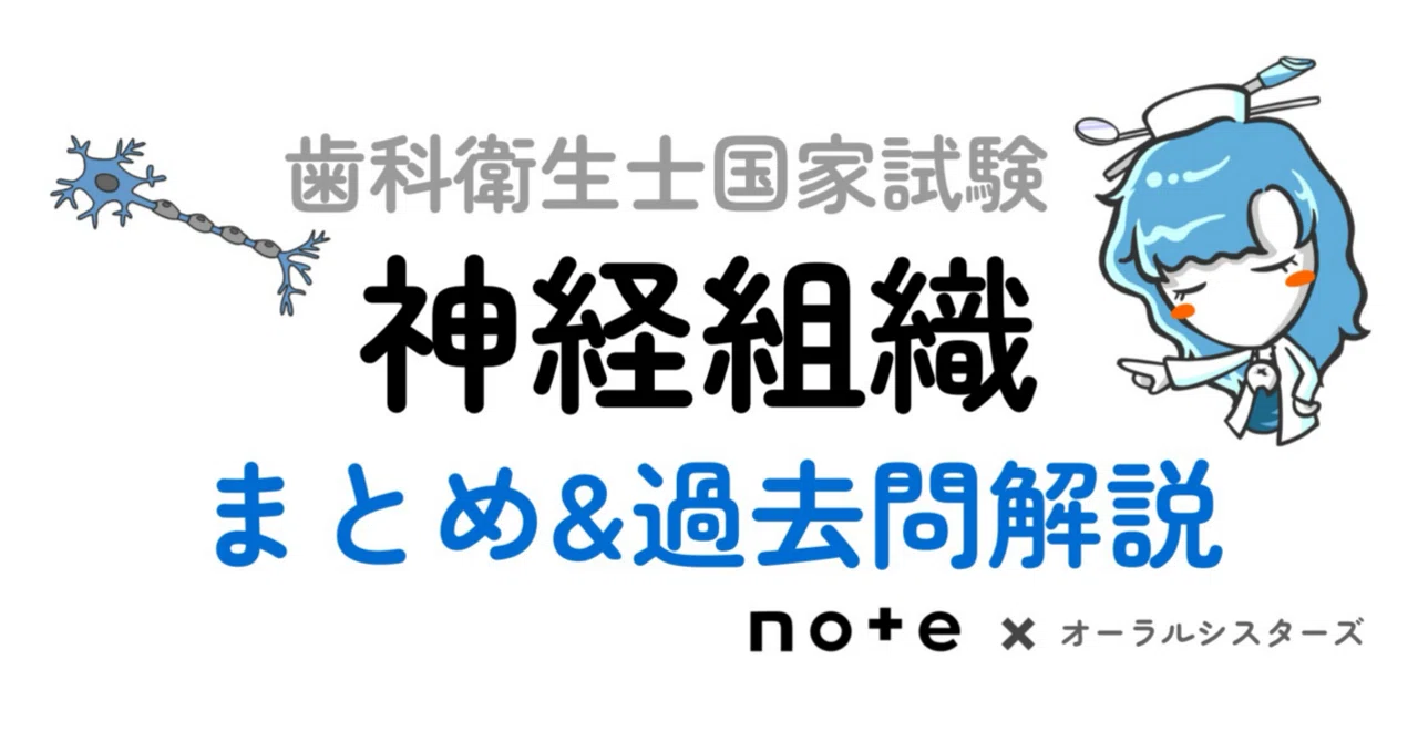 販売終了】神経組織PDF📄 歯科衛生士国家試験｜オーラルシスターズ