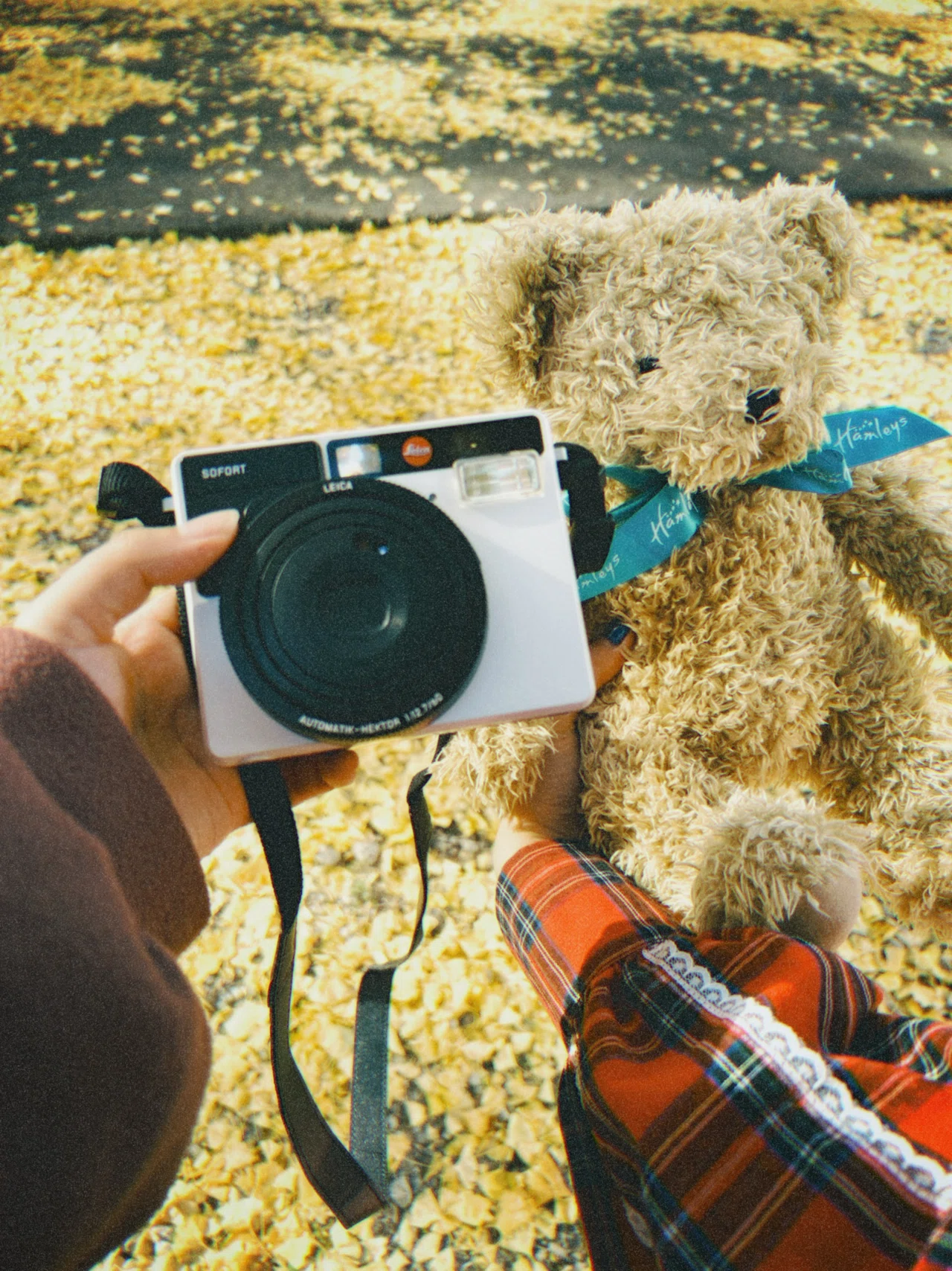 初代Leica SofortとSilkyちゃん｜かまた