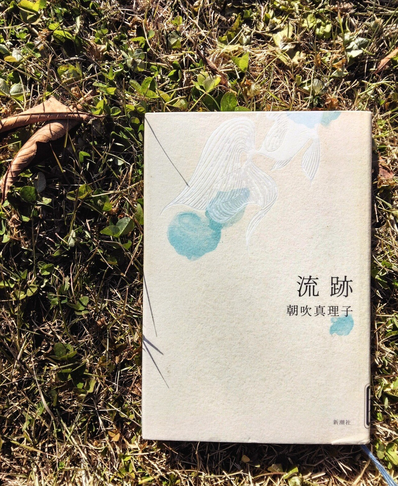 中西アルノさんへ： 図書館のリサイクル資料でもらいました。 著者の