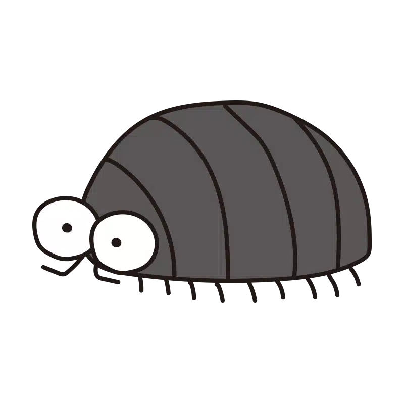 ダンゴムシ転がし