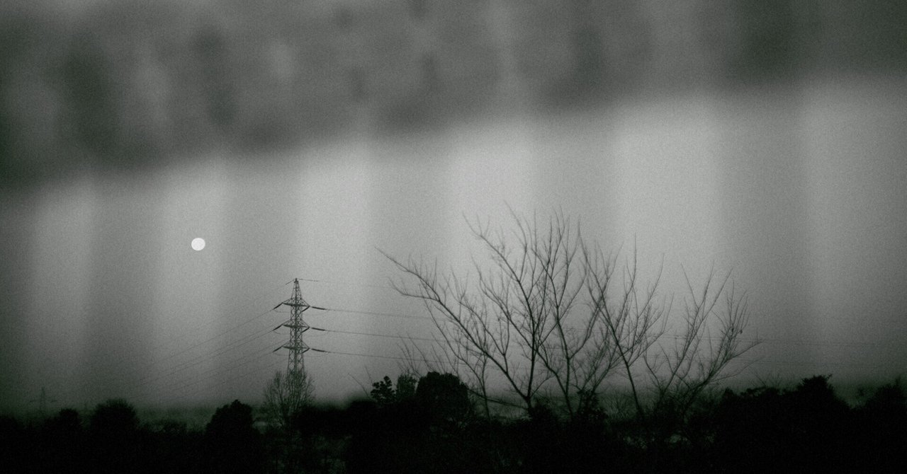 カメラの評価の仕方。(C Sonnar 1.5/50 + Nikon Zf)｜篠山吉信(きっ