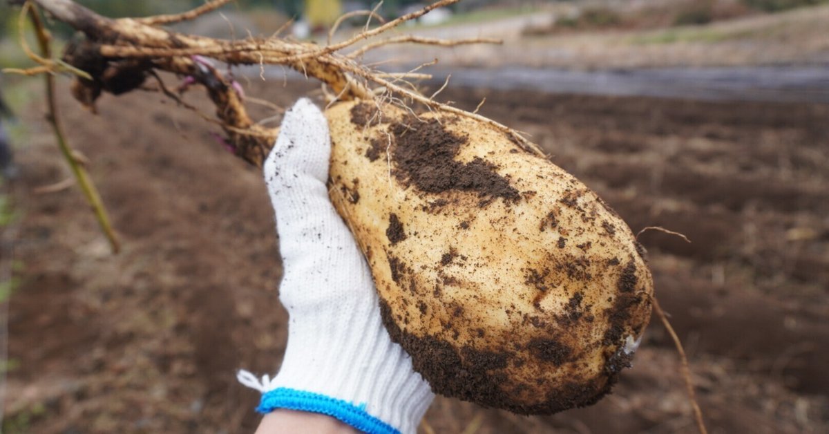 ハンドメイド畑作業用 手押し畝切り 【公式通販】
