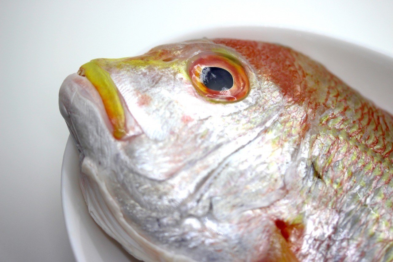 私だって電車の中では死んだ魚の目をしている 尾崎えり子 Note