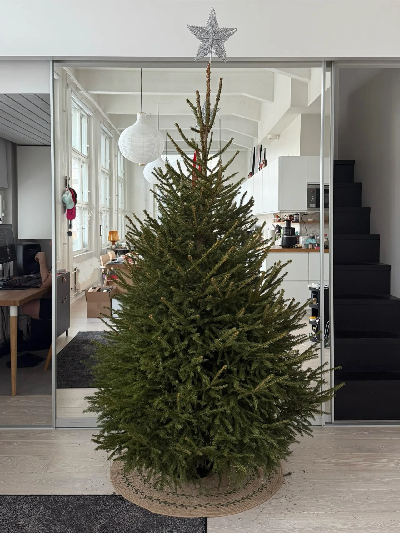 フィンランドのクリスマスツリーはモミじゃない｜kokko🇫🇮