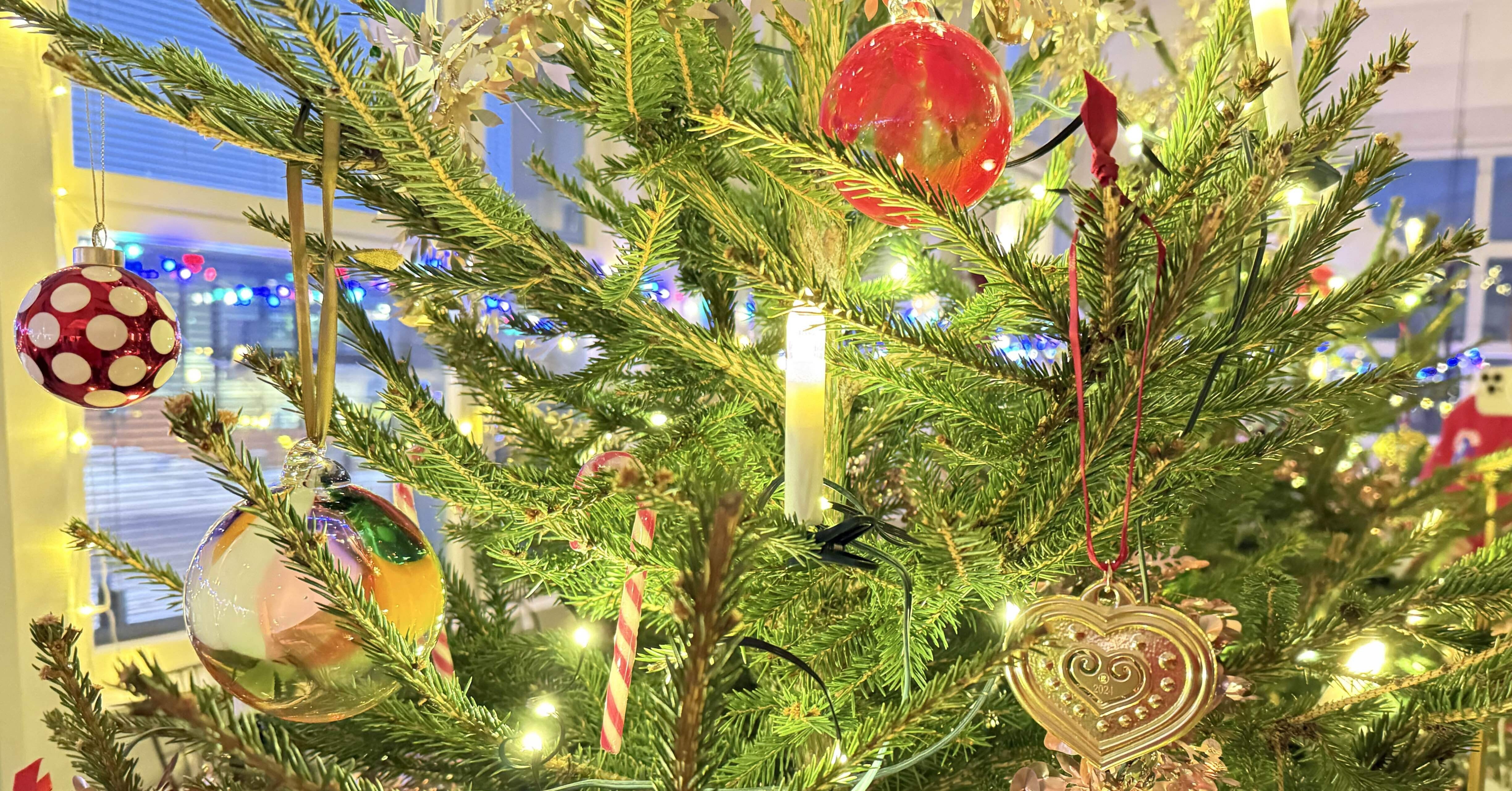 be33167419ddd5f0a2fd8c476fa8ec