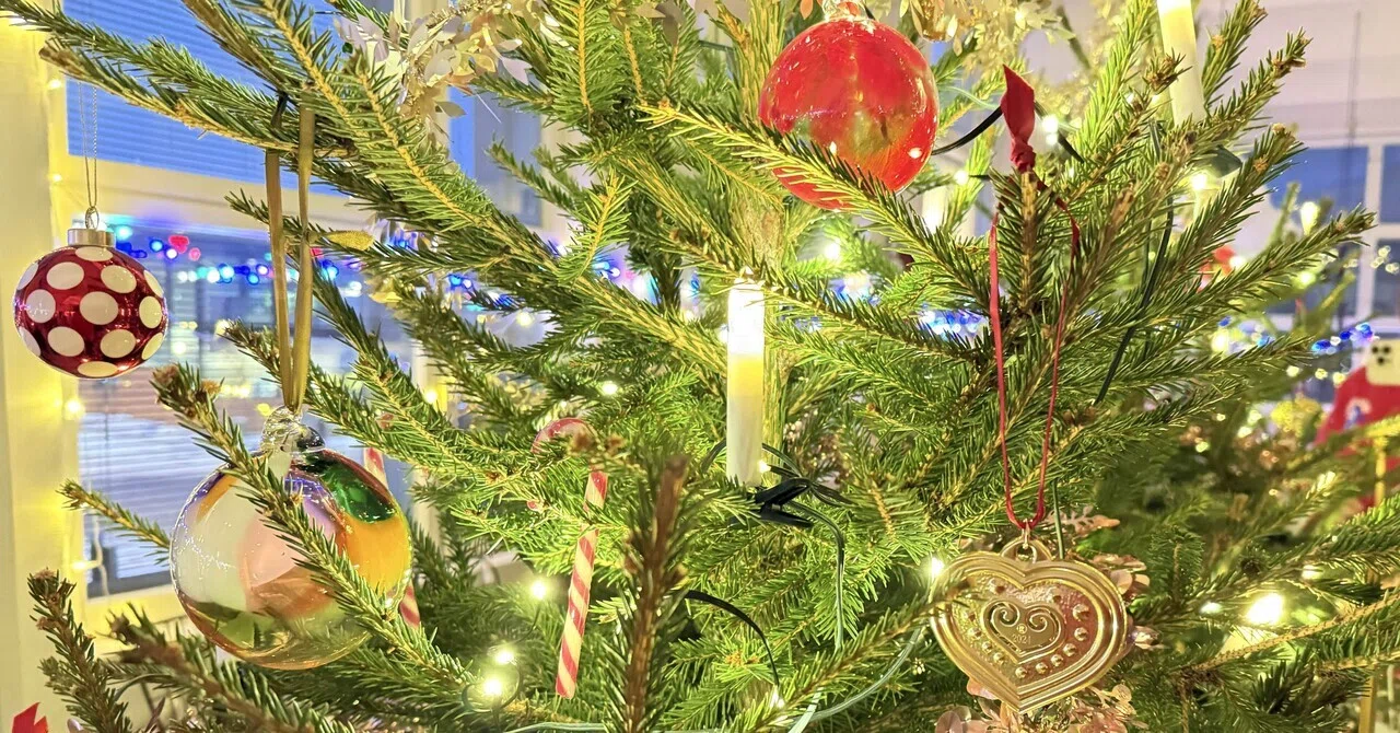 フィンランド産 クリスマス オーナメント 新品 フィンランドのクリスマスツリーはモミじゃない｜kokko🇫🇮