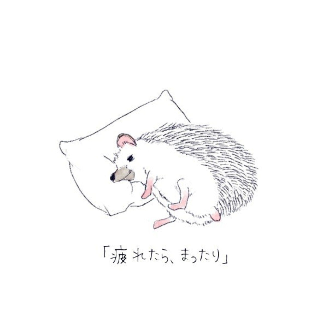 双子妊娠２ 倦怠感つわり Healthy Note