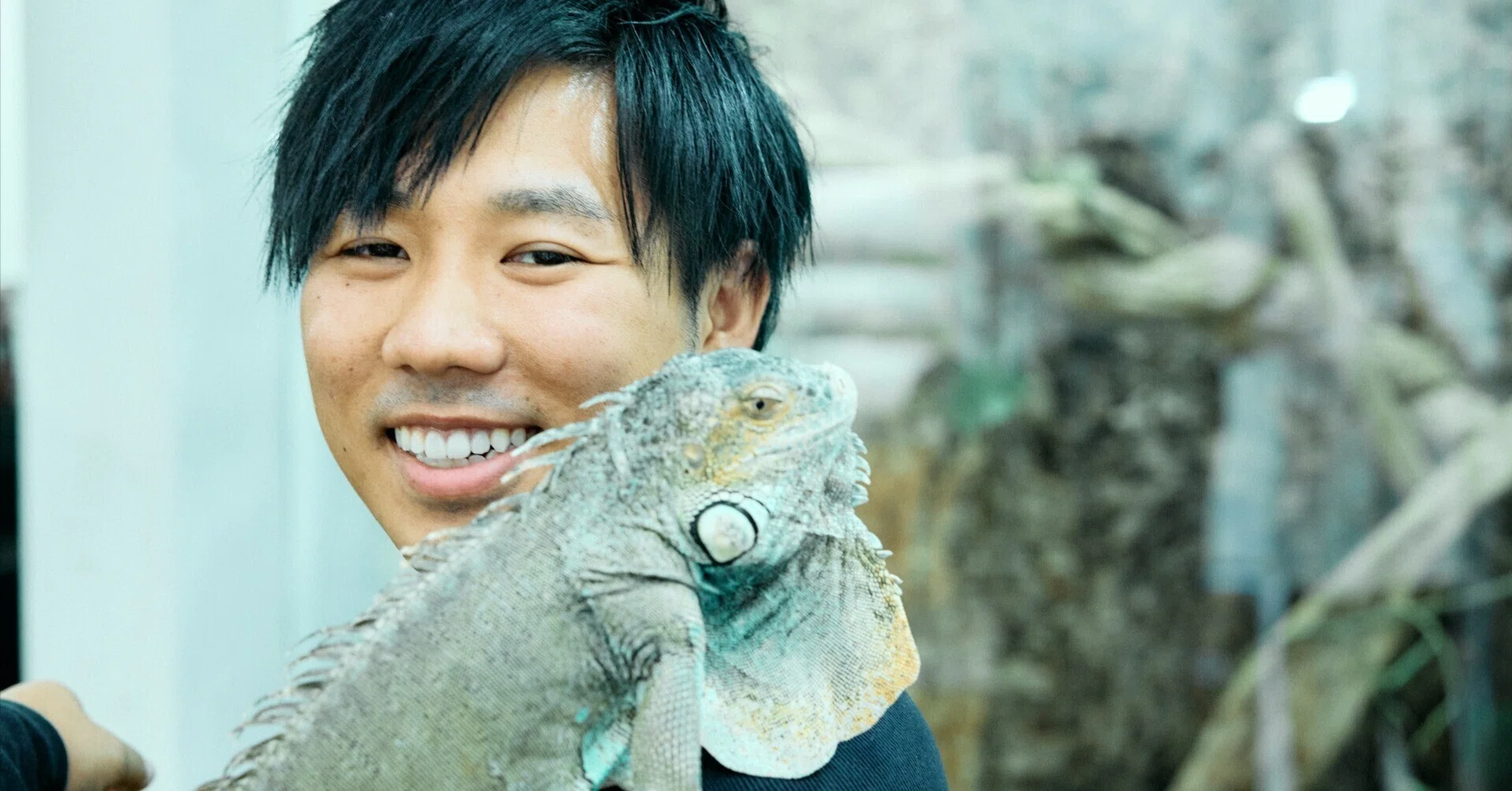 爬虫類を飼うこと。生き物の全てを好きでいること。ちゃんねる鰐氏 