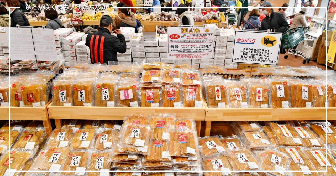 JA常陸 長砂ファーマーズマーケット ここすな オープン！｜ひたちなか