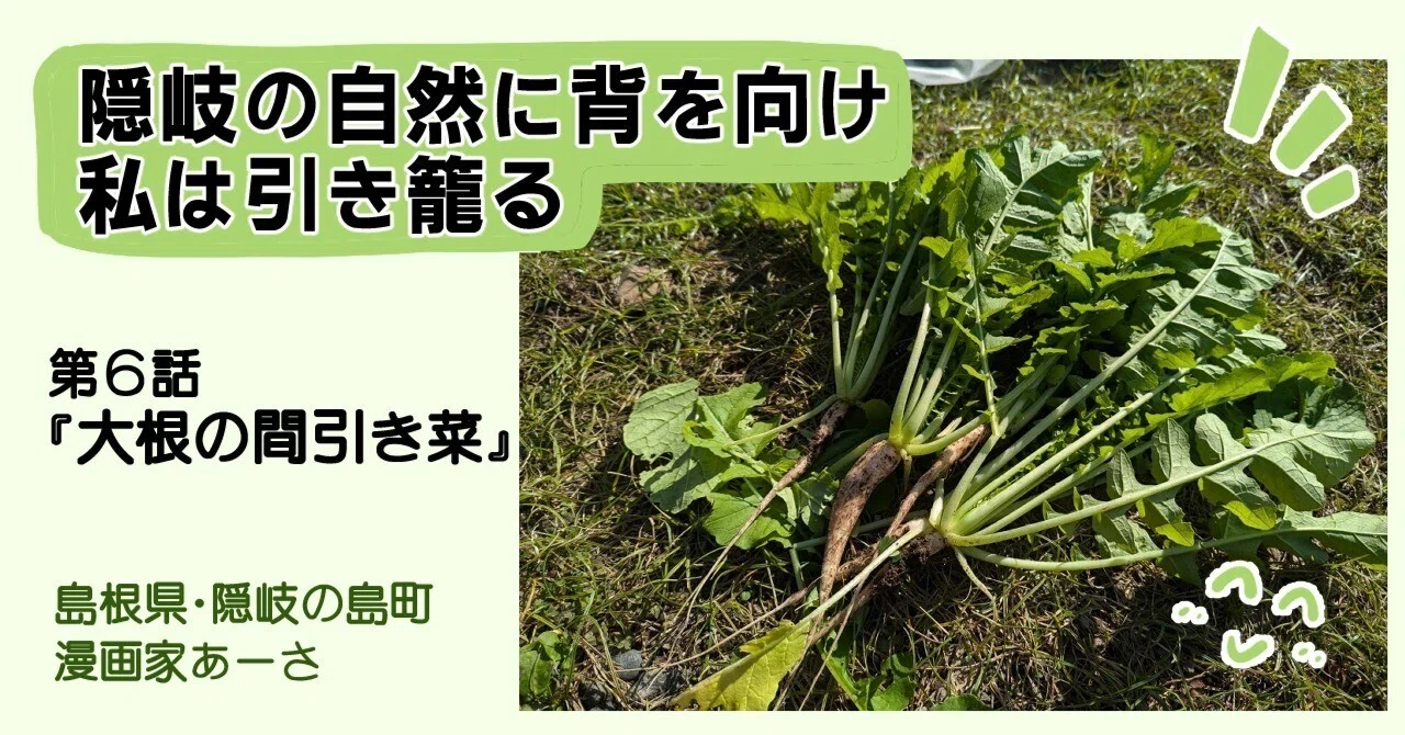 確認用、露地間引き大根菜 しまね女子ブログ】大根の間引｜しまね移住project【ふるさと島根定住