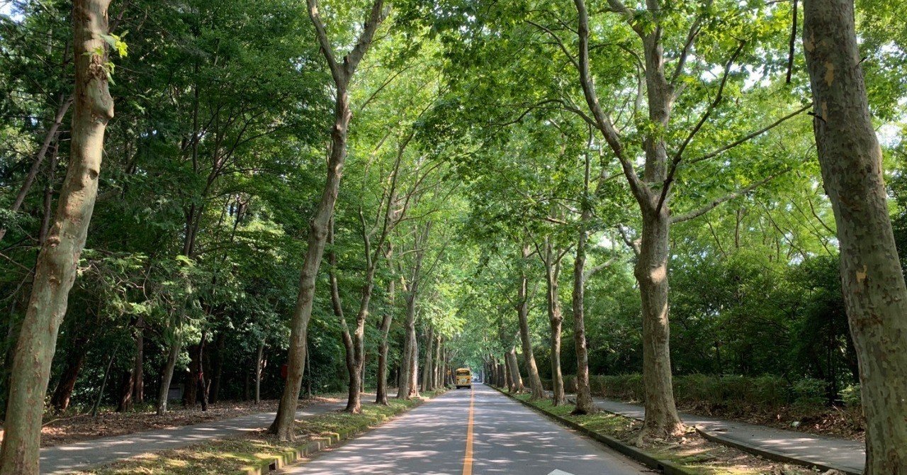 仲地 優登 筑波大学 情報学群 知識情報 図書館学類所属 Nextgene1221 Note 仲地 優登 筑波大学 情報学群 知識情報 図書館学類所属 Nextgene1221 Note