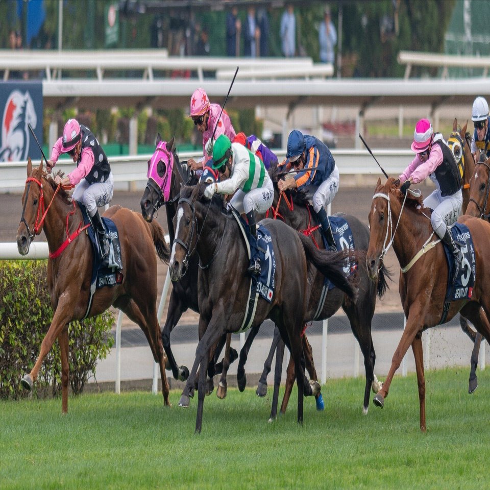 香港国際競走に行ってきた｜こんにちは