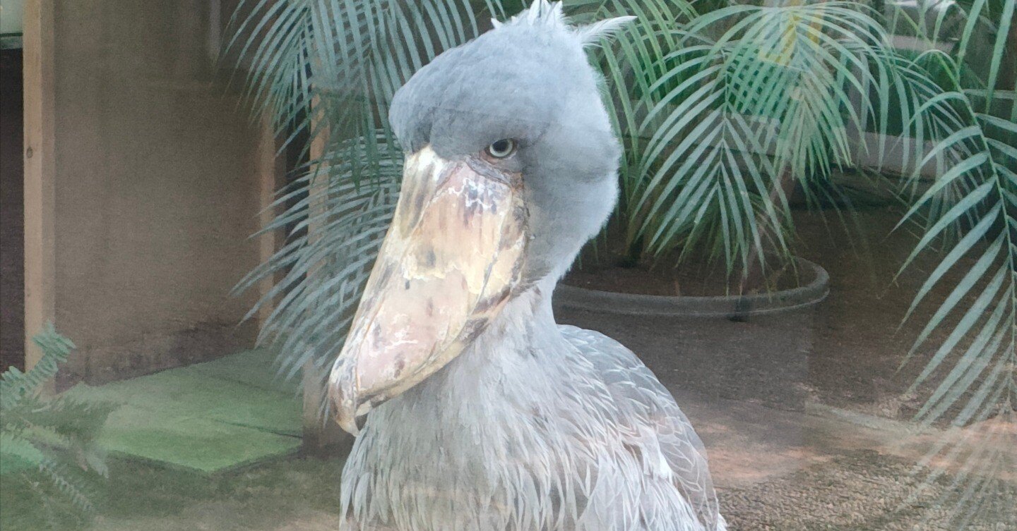 df8b76c88082b7c68203ca976e3c5a