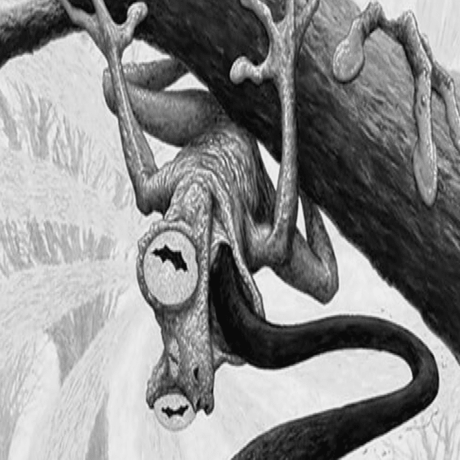 超能力蛙追悼式2024.12.16禁止改定｜しょ〜た（N）-Yamaro