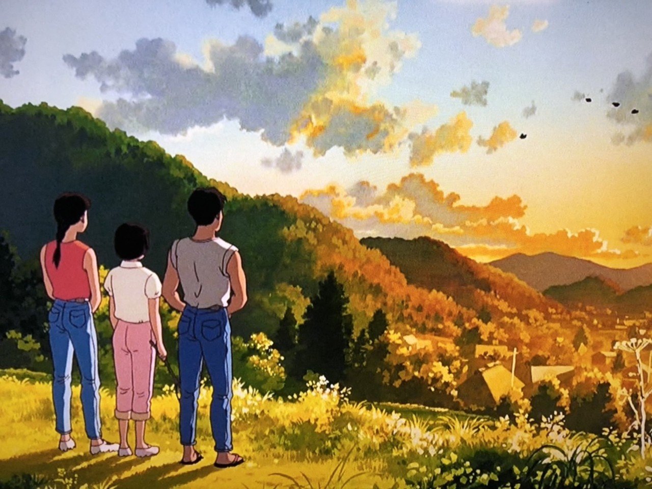見解2『おもひでぽろぽろ』 タエ子は源氏物語がモデルだった 見解2『おもひでぽろぽろ』 タエ子は源氏物語がモデルだった