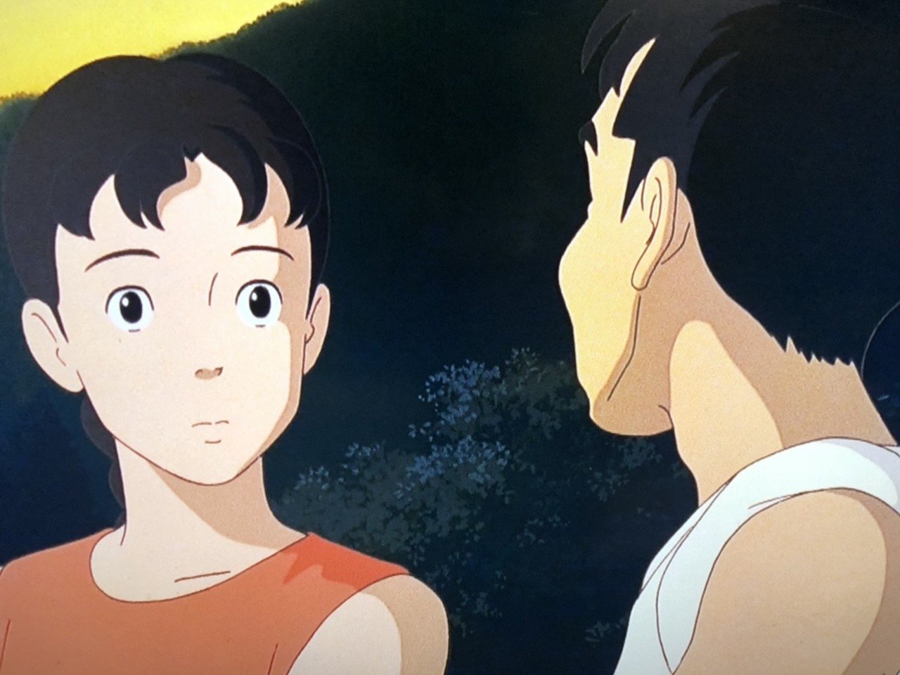 見解2『おもひでぽろぽろ』 タエ子は源氏物語がモデルだった 見解2『おもひでぽろぽろ』 タエ子は源氏物語がモデルだった