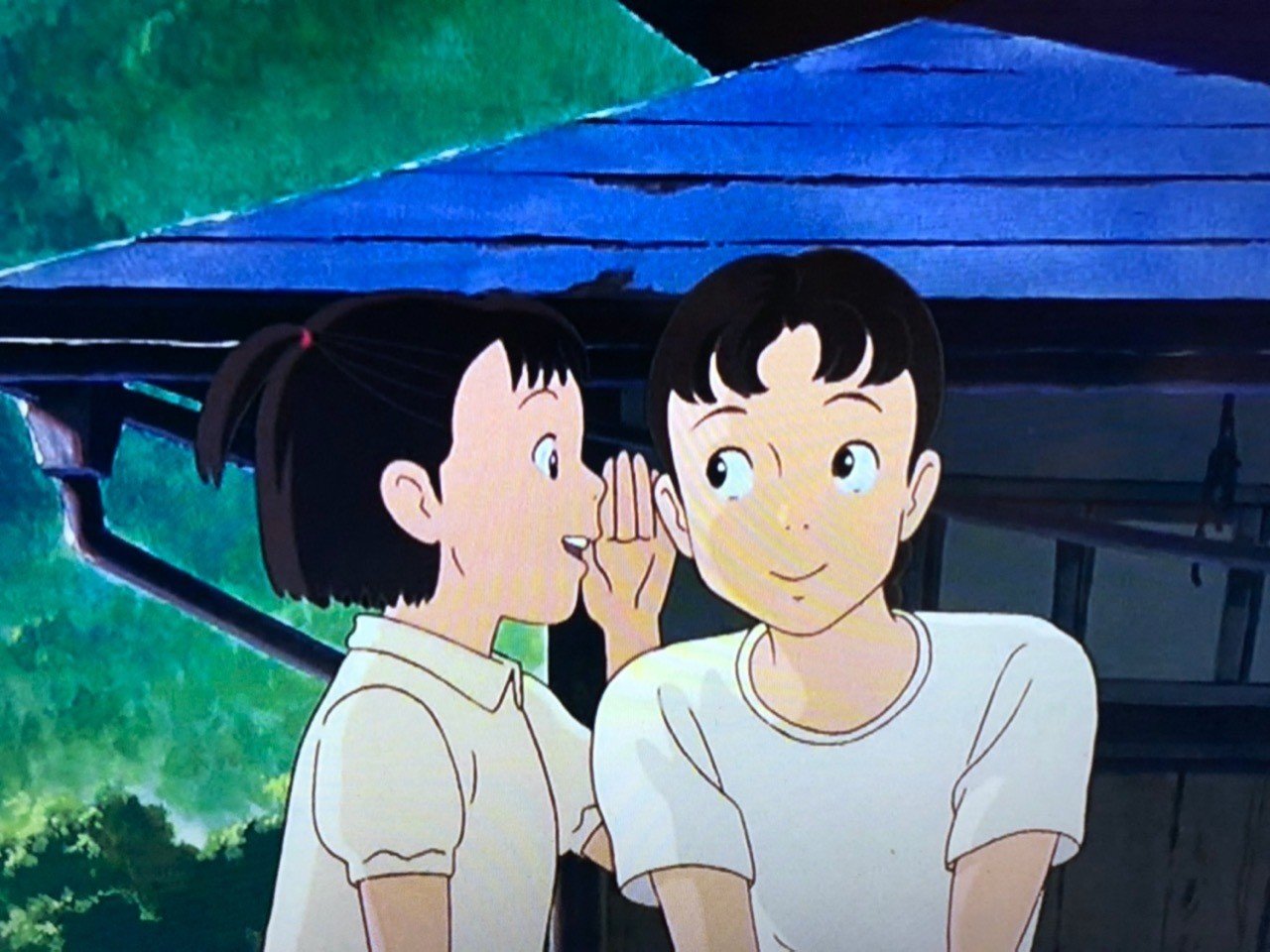 見解2 おもひでぽろぽろ タエ子は源氏物語がモデルだった Kakan Note