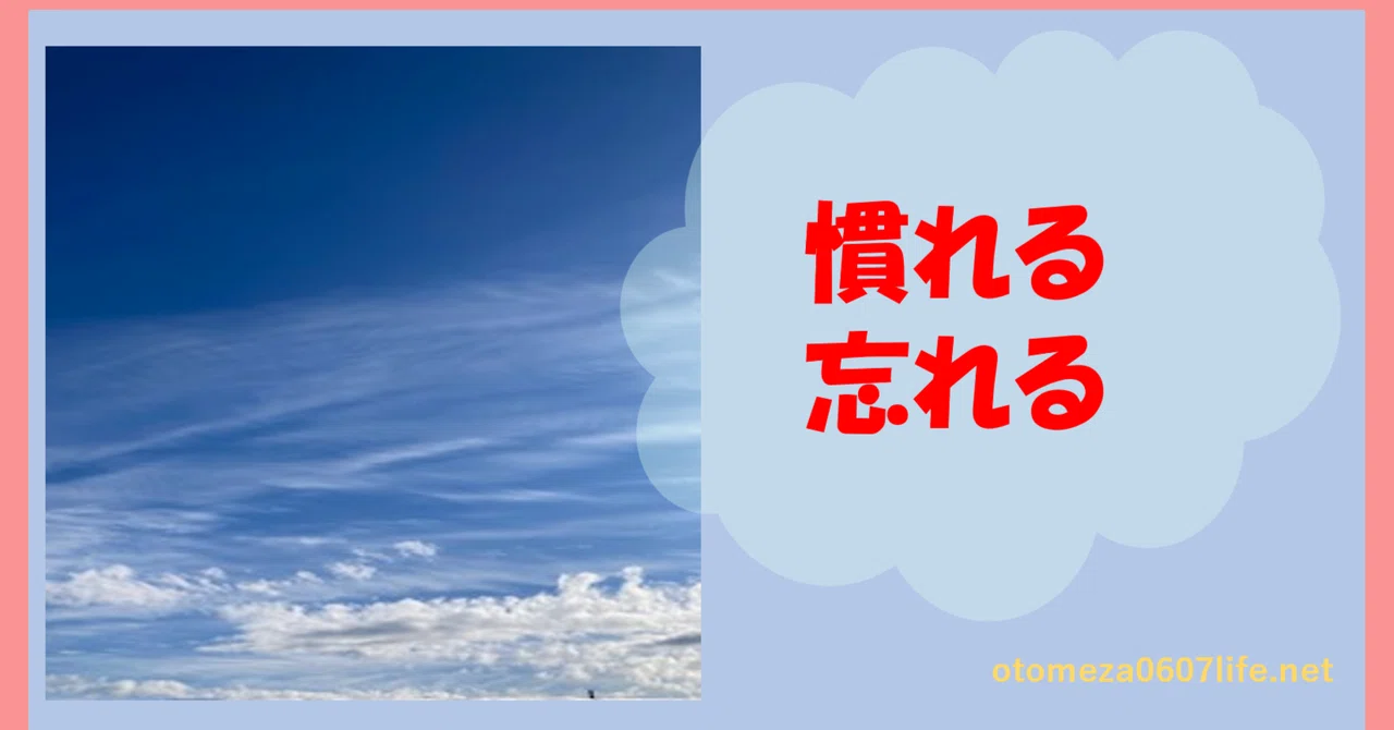 人間は慣れる・忘れる生き物だから|パセリ