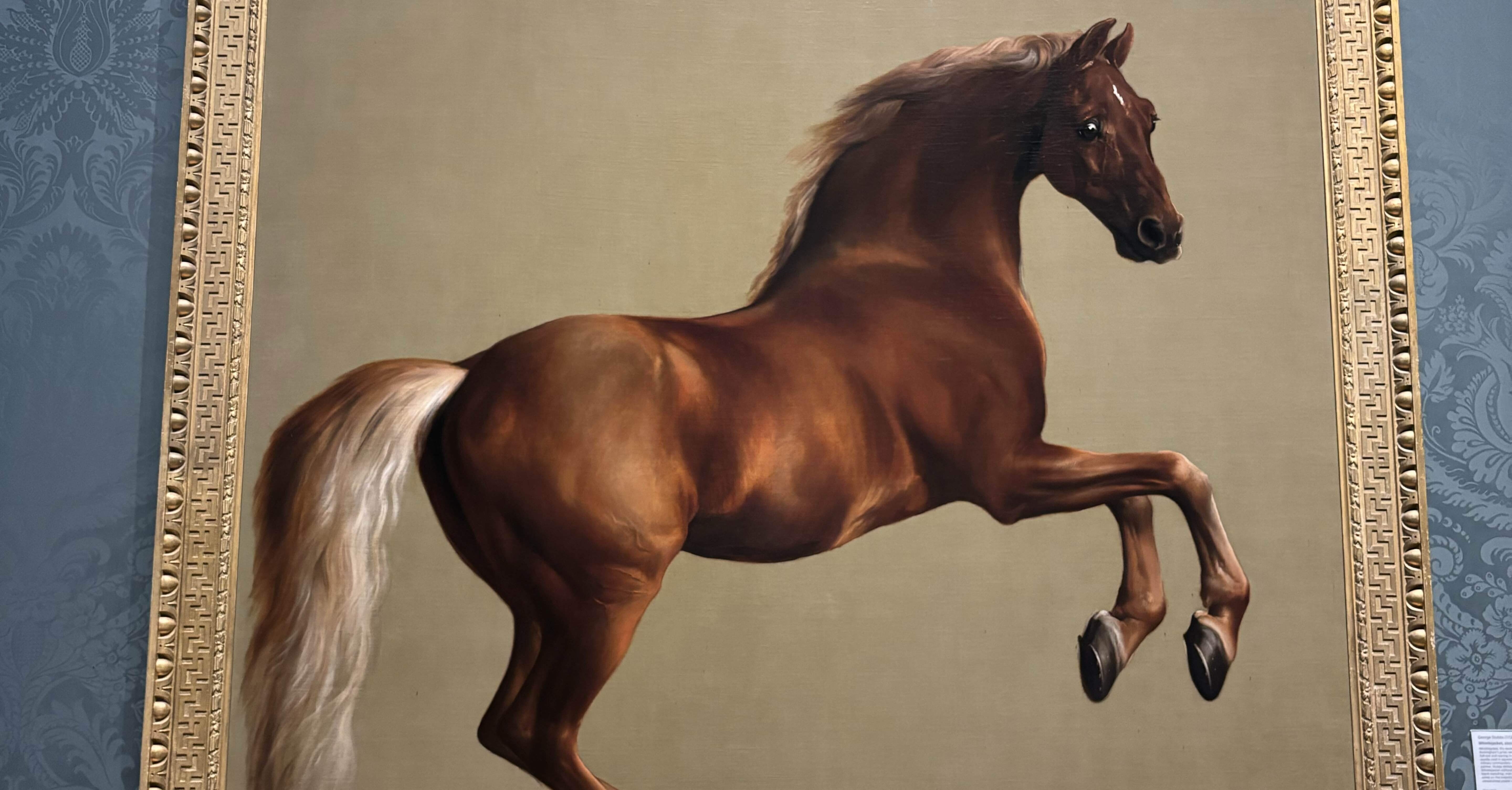 efe202ac5265b7528fb44f57ac26b3