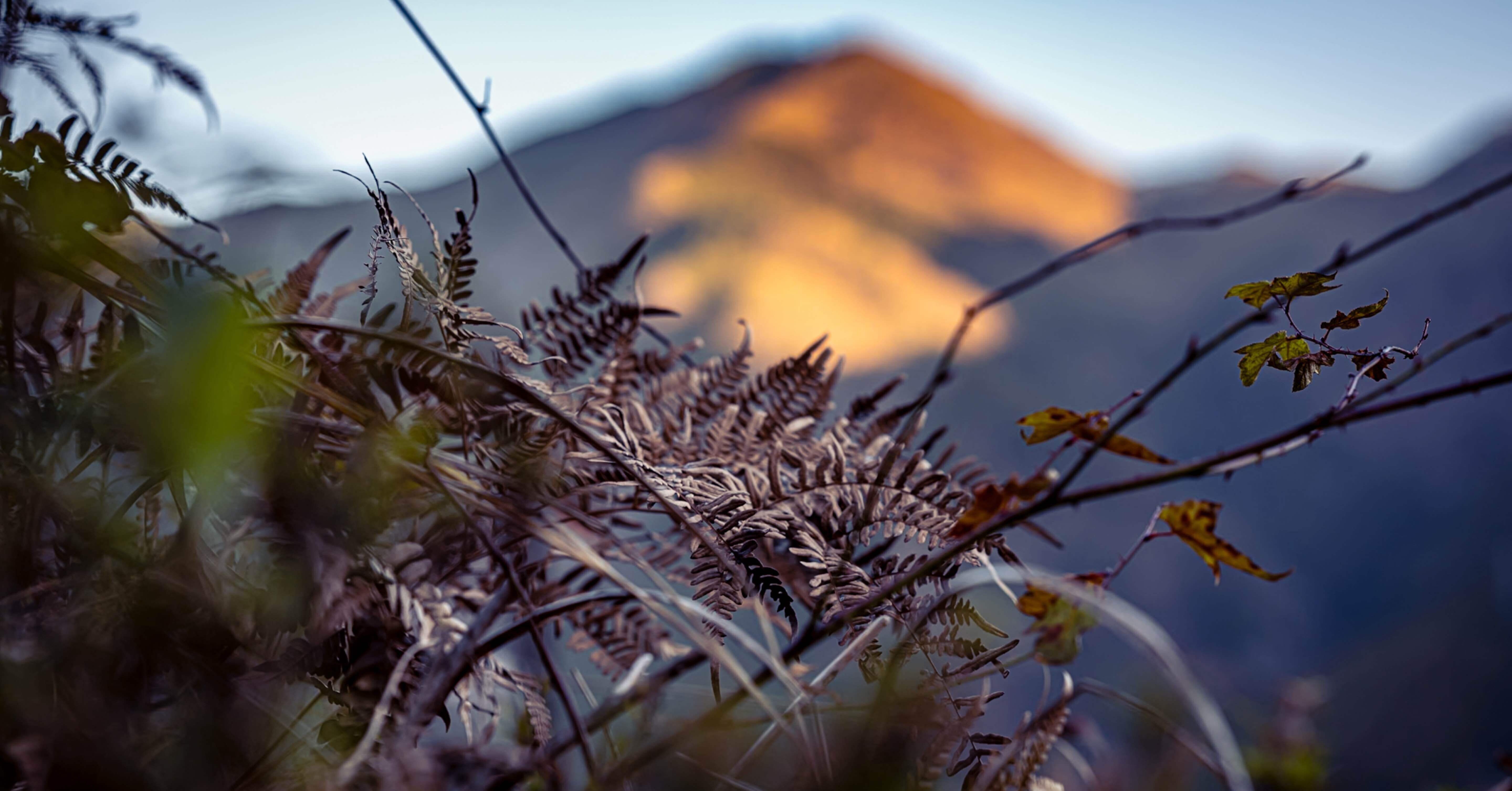 color#8】85mmに求めるもの（Nikon Z8 + NIKKOR Z 85mm f/1.8 Sで