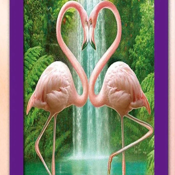 感情の静けさと癒しのとき、愛の復活『FLAMINGO』〜フラミンゴ