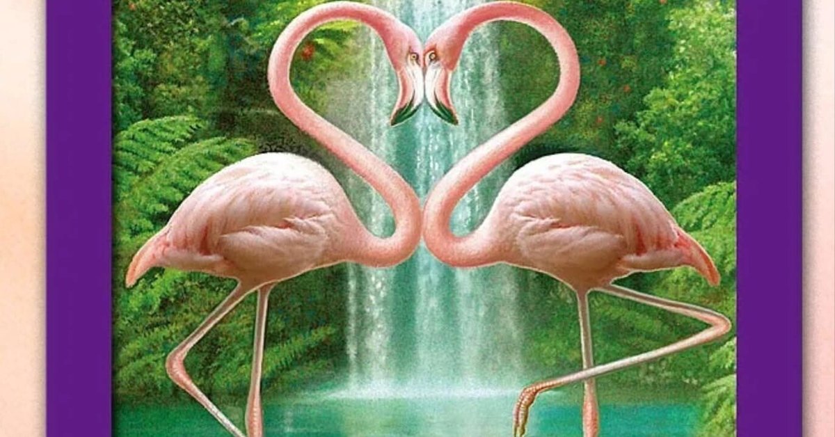 感情の静けさと癒しのとき、愛の復活『FLAMINGO』〜フラミンゴ  
