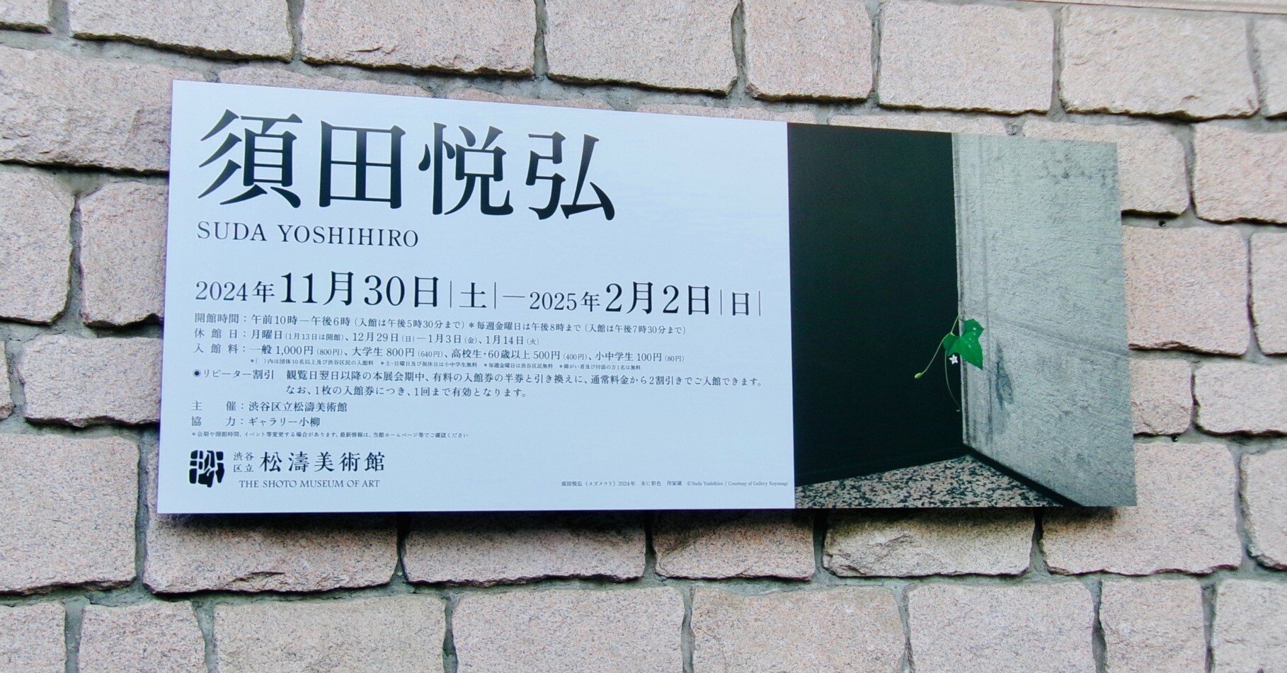 展覧会感想】 「須田悦弘」展 渋谷区立松濤美術館 2024.11.30~2025.2.2