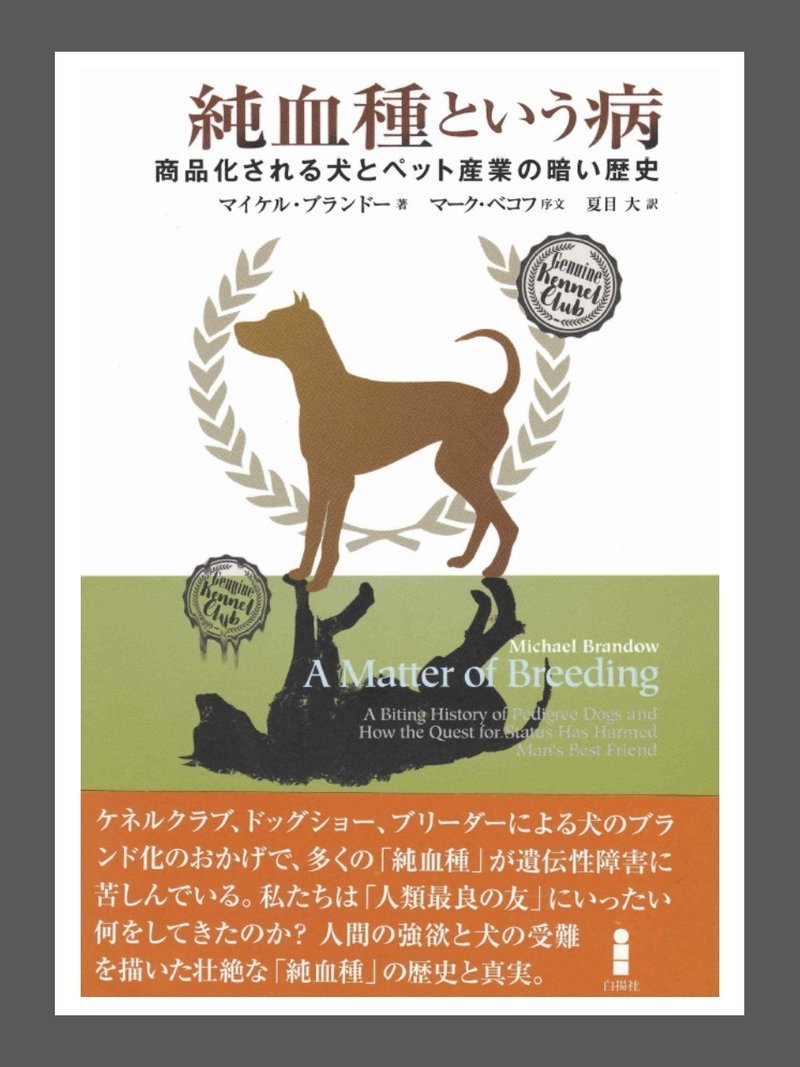 平蔵とお姉ちゃんからの贈り物 ひめりんご 平蔵 Himeringo Heizo Note