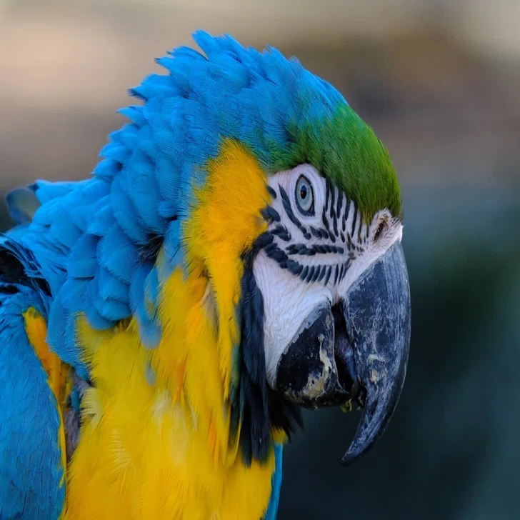 望遠レンズを持って動物園に行ってみたら楽しすぎたという話【X-T5