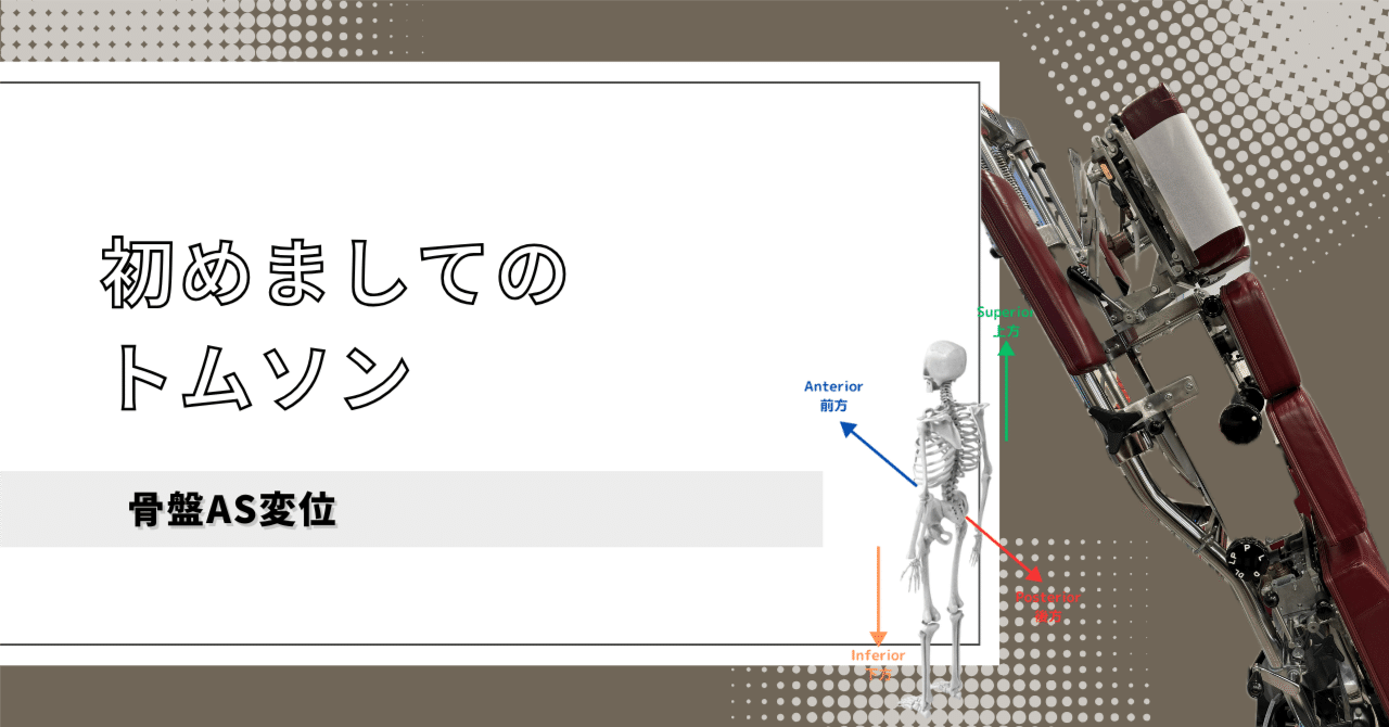絶版！激レア！トムソンテクニックマニュアル！ 絶版！激レア！トムソンテクニックマニュアル！ 【公式通販】