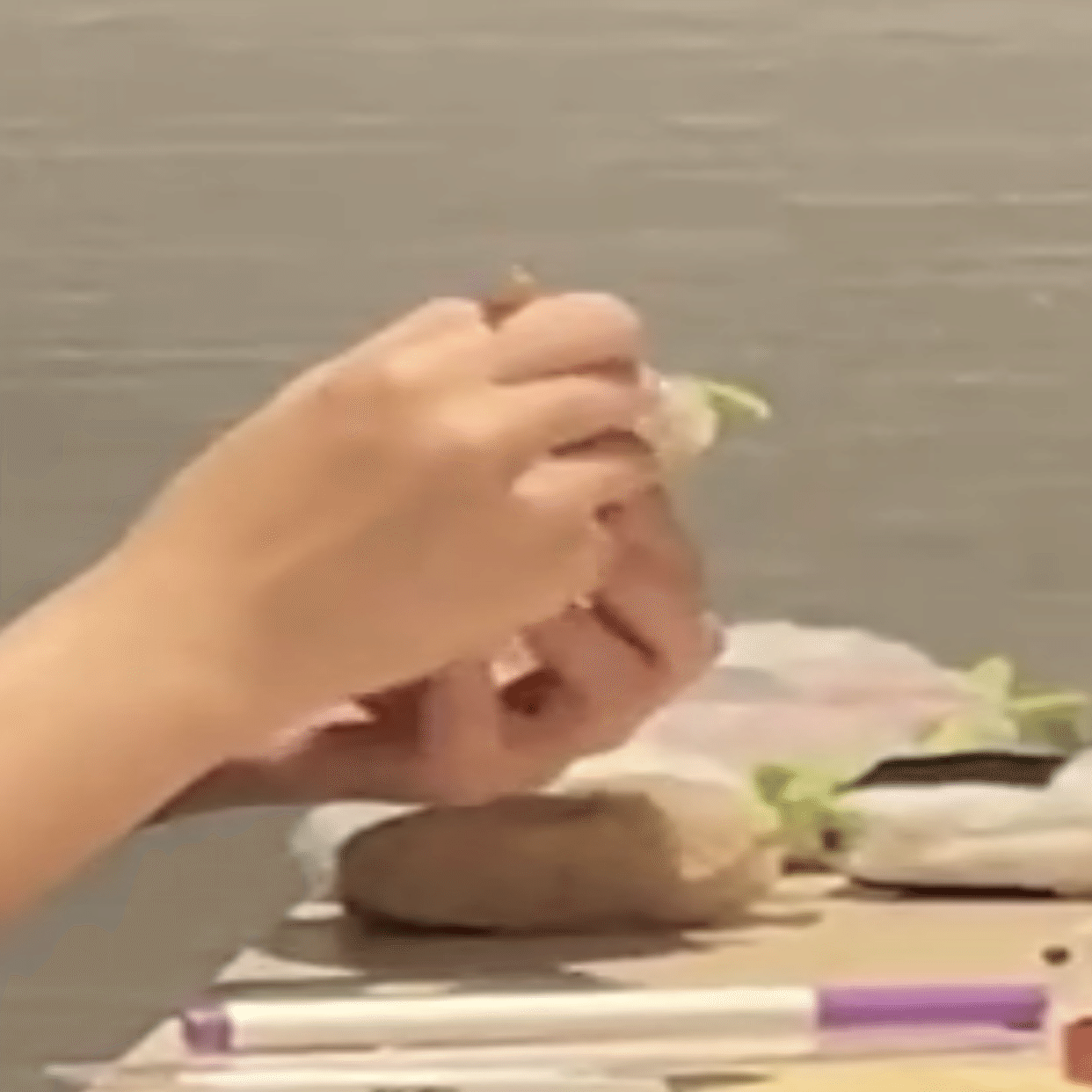 手芸初心者がデザフェスでぬいぐるみ売った話｜おいぬちーず