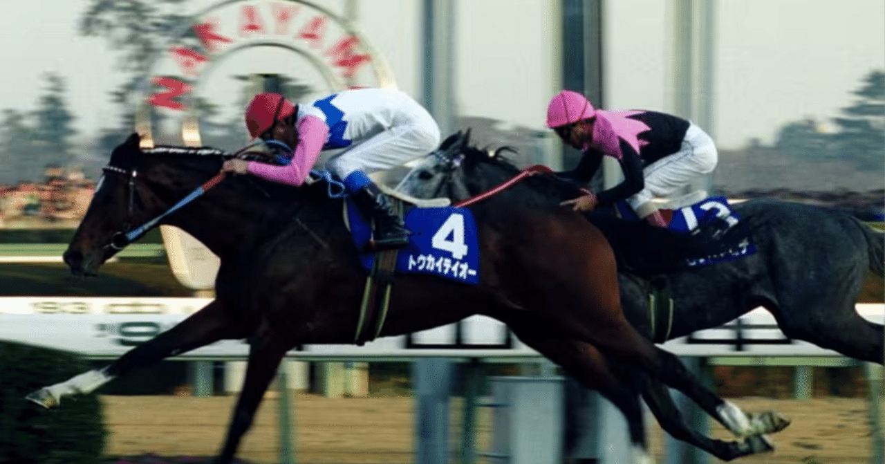 過去の思い出 1993年 第38回 有馬記念｜はしば秀長