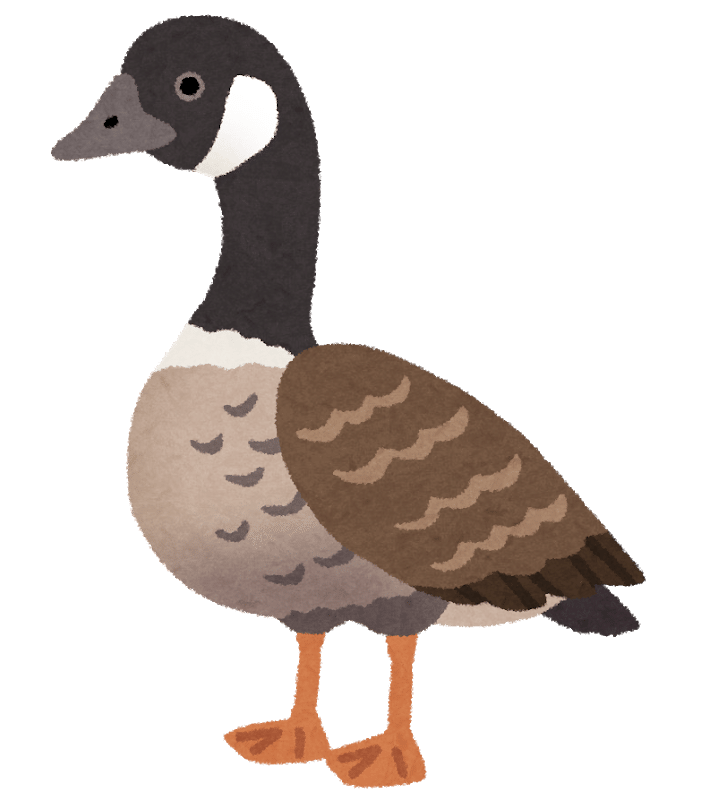 第686回 野鳥の和名の由来 1 翆野 大地 Note 第686回 野鳥の和名の由来 1 翆野 大地 Note