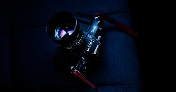 Canon EOS Kiss Digital N｜芝生侍