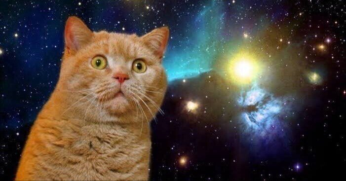 カジュアルEDHとは？｜あつしき