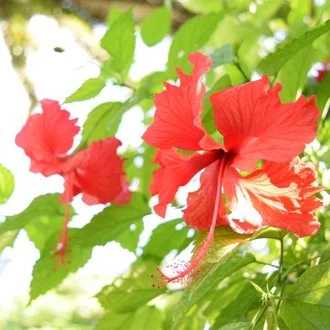 東海オンエア の虫眼鏡の個人チャンネルの 虫眼鏡の放送部 を寝る前に聞く毎日 すごく落ち着くんだよね こういうラジオだったら毎日聞きたいなぁって思う そもそも東海オンエアが面白いもんね みぃ Note