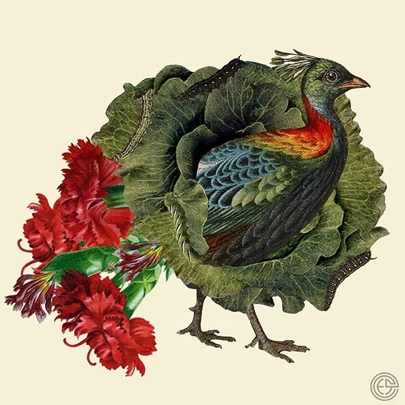 昔の人にとって、鳥は神秘と憧れの存在？｜camouCollage