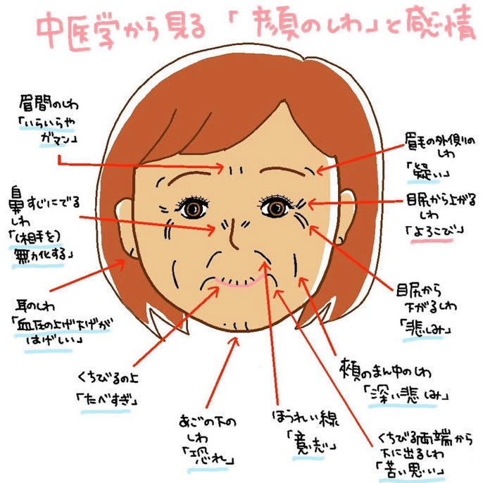 顔のシワについて知ったこと きく Note 顔のシワについて知ったこと きく Note