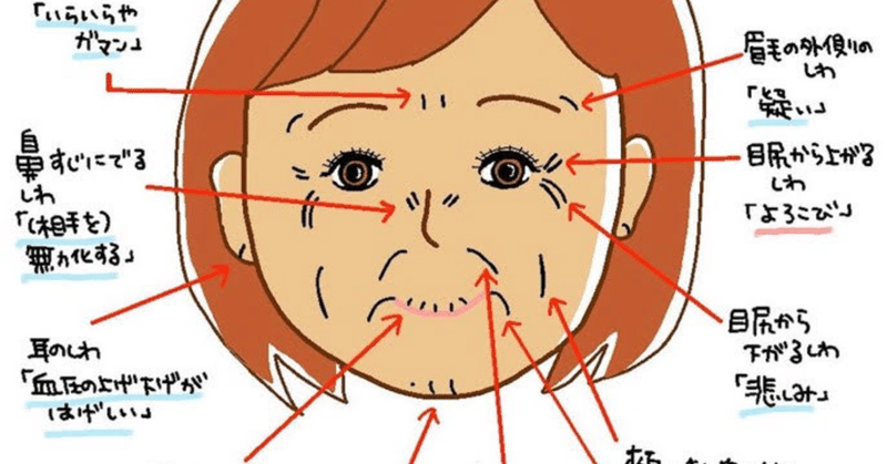 顔のシワについて知ったこと きく Note 顔のシワについて知ったこと きく Note
