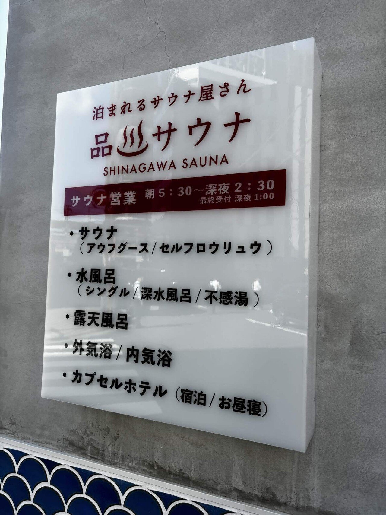 蒸され蒸されて、2024年の記憶に残るサウナ施設｜あおばた