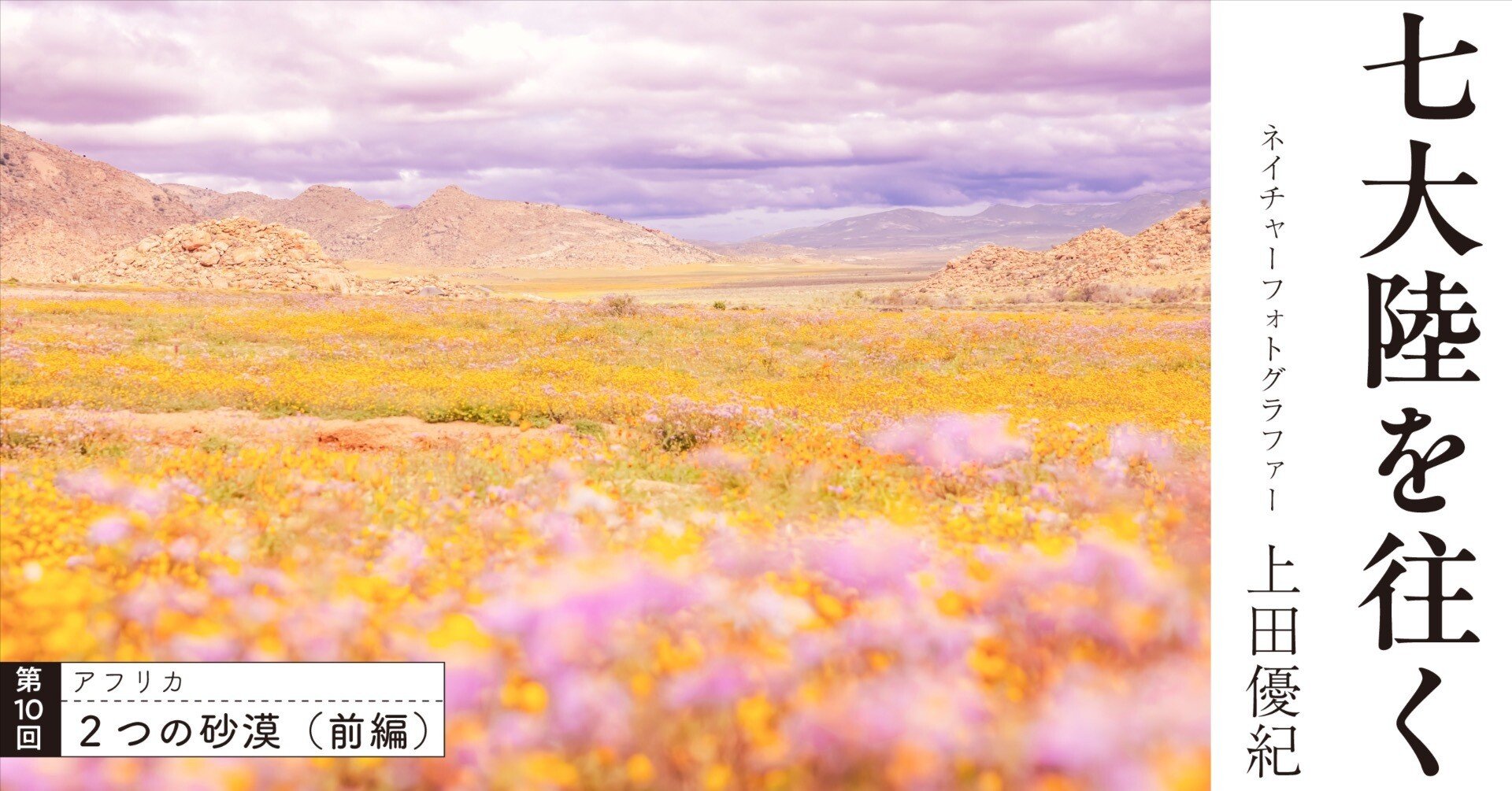 30d72cc97873f7a8584855bf105449