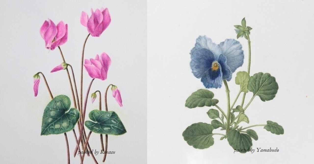 シクラメン×パンジー｜山葡萄と小茄子