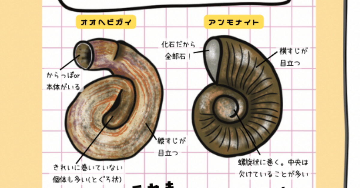化石じゃないよ？ おさわがせ二大巨頭 【ほねなしマンガ