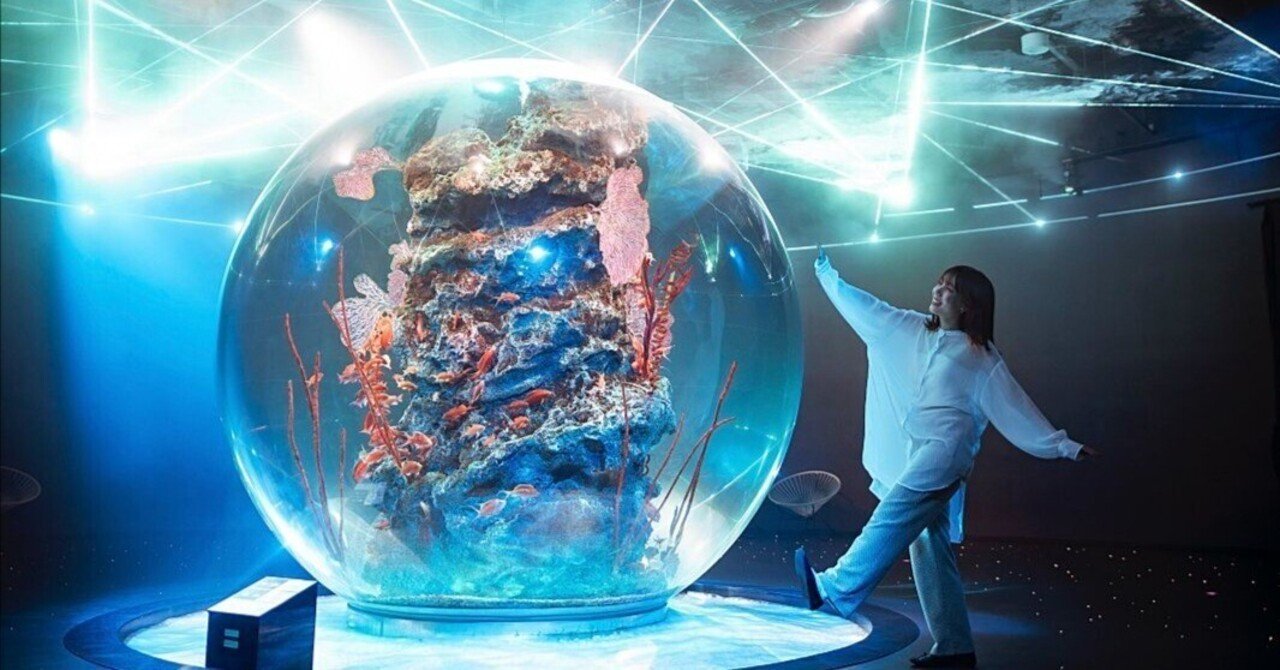 水族館 SUPER SALE【まとめ売り】 水族館 SUPER SALE【まとめ売り】